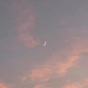 揉胸大胸做爱番
