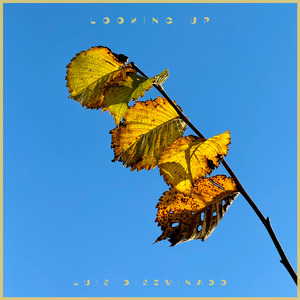 揉胸大胸做爱番
